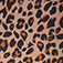 Brown Cheetah